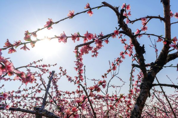 国睿信配 仙人跳9：黄磊找来的老边，被加代打了