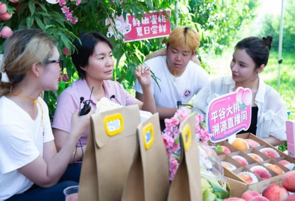 恒运资本 平古大桃正当时，“鲜桃季”系列活动带动农民增收