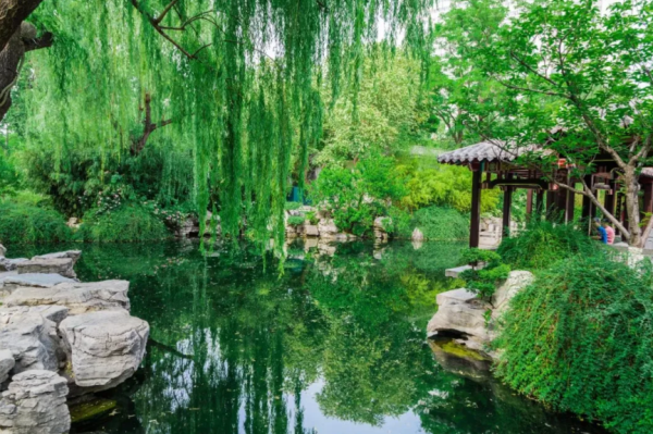 思考资本 0元游济南！济南这10个景点适合一日游，免费又好玩，你去过几个？