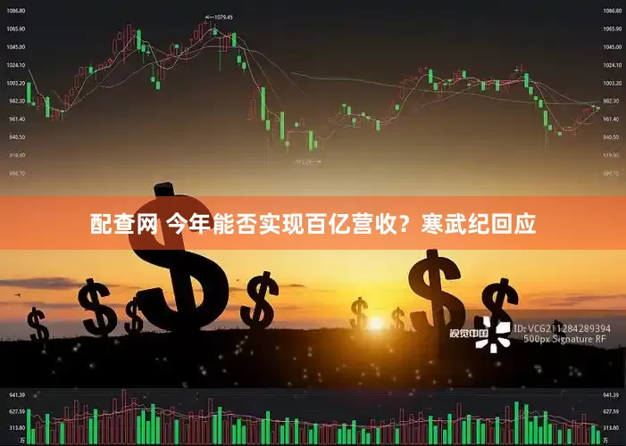 配查网 今年能否实现百亿营收？寒武纪回应
